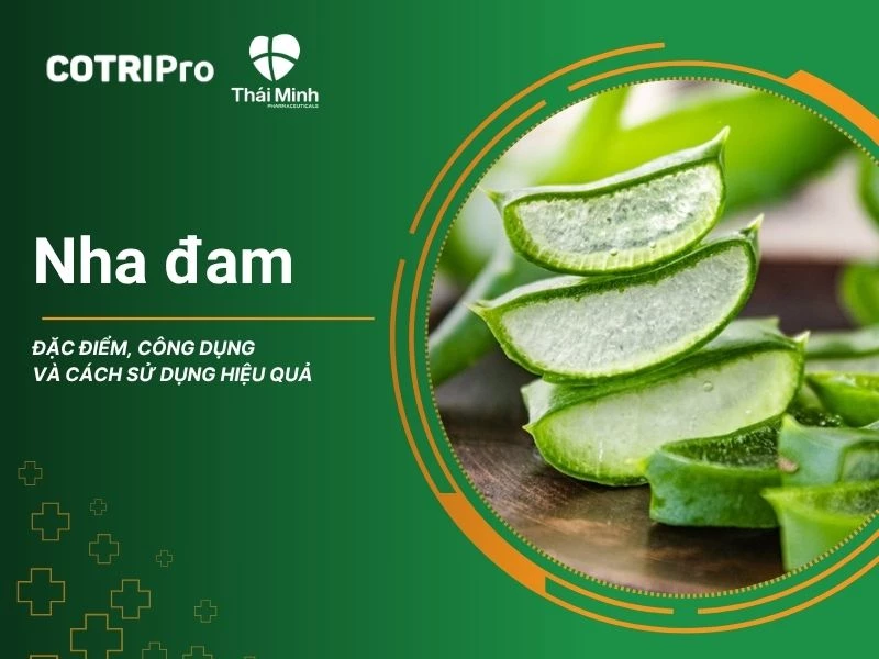 Nha đam: Đặc điểm, công dụng và cách sử dụng hiệu quả