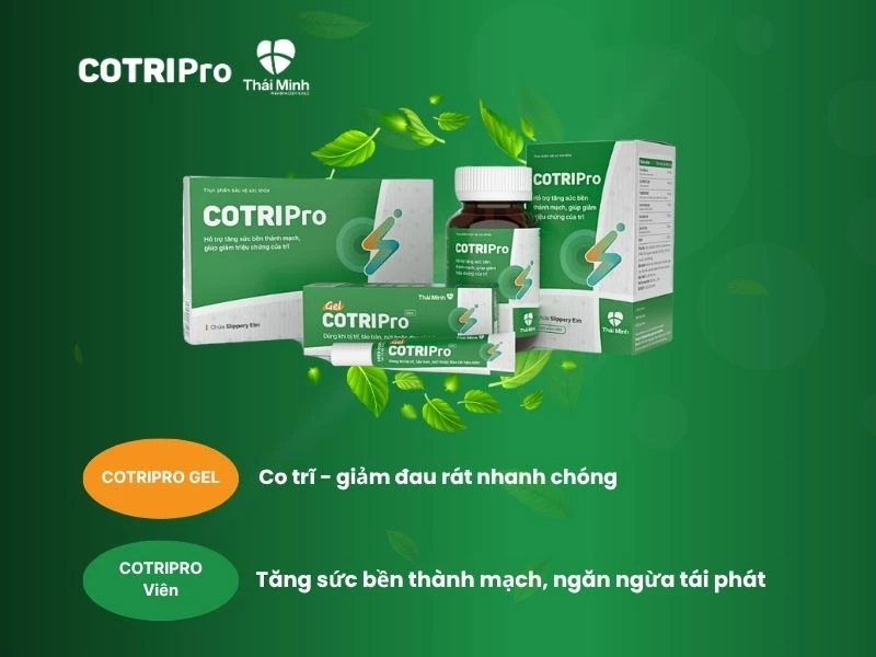 Bộ đôi combo COTRIPro điều trị trĩ