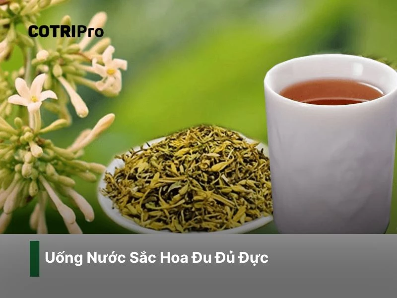 Hoa đu đủ đực giúp giảm co thắt búi trĩ