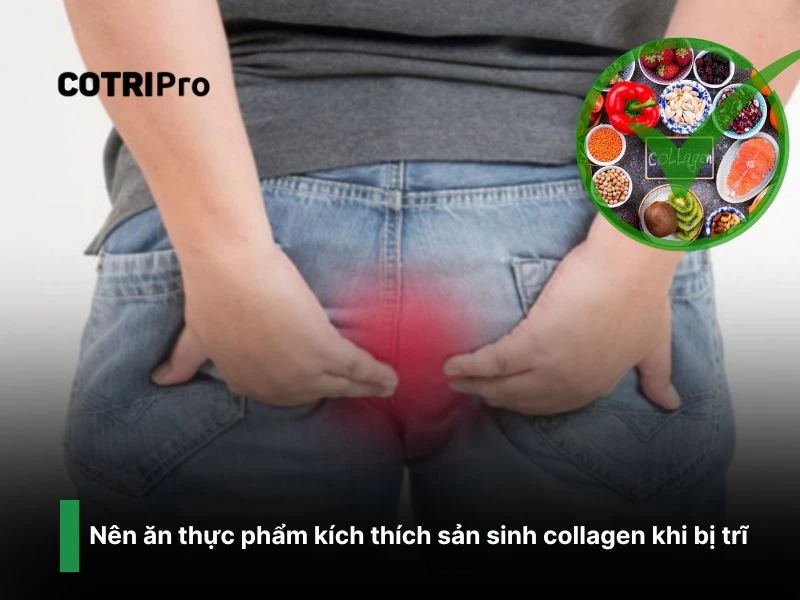 Thực phẩm giàu Collagen ngừa trĩ