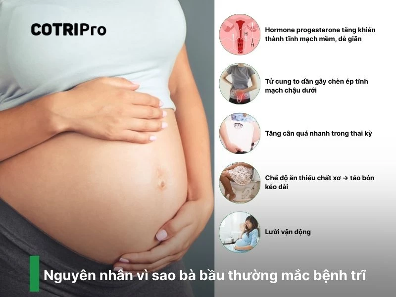 Tăng cân nguyên nhân bị trĩ bà bầu