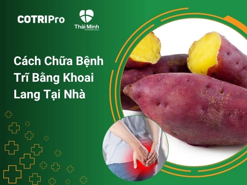 Cách chữa bệnh trĩ bằng khoai lang tại nhà