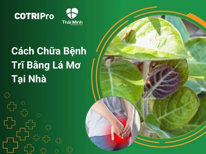 Cách chữa bệnh trĩ bằng lá mơ tại nhà