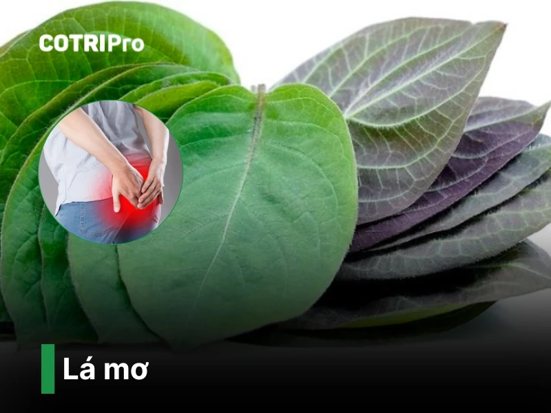 chua-benh-tri-bang-la-mo​.webp