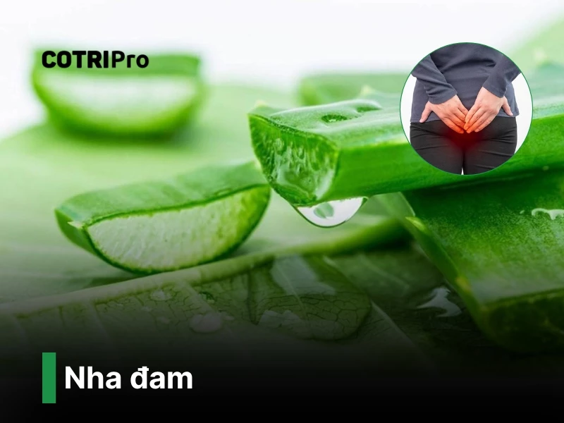 chua-benh-tri-bang-nha-dam​.webp