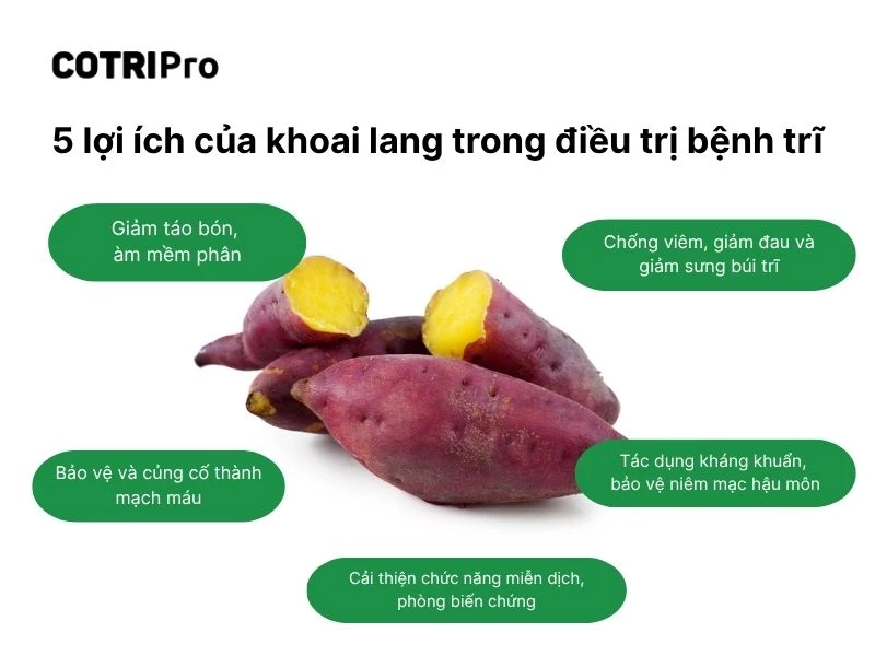 Lợi ích khoai lang trong điều trị bệnh trĩ