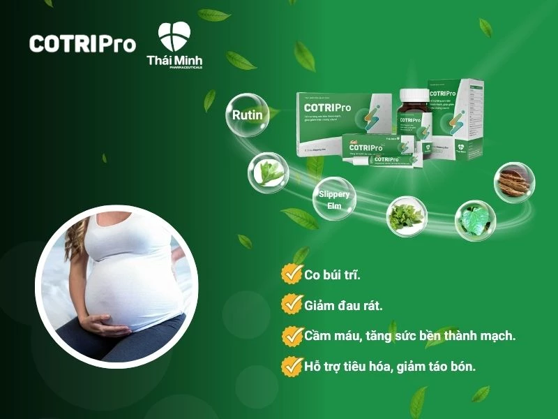 COTRIPro ngừa trĩ cho bà bầu