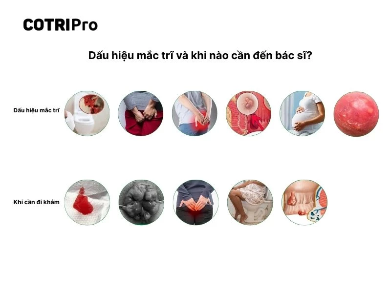 Đại tiện ra máu là dấu hiệu bị trĩ