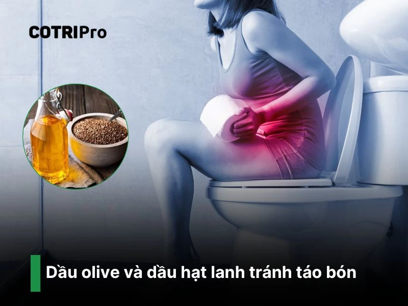 Dầu hạt và Olive tốt hệ tiêu hóa