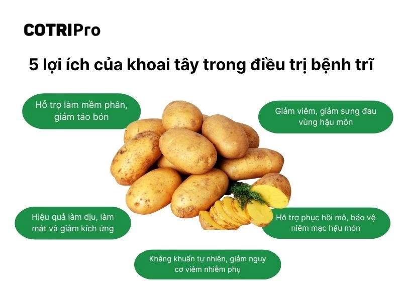 Công dụng khoai tây điều trị trĩ