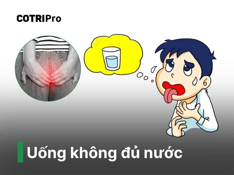 Thói quen uống không đủ nước