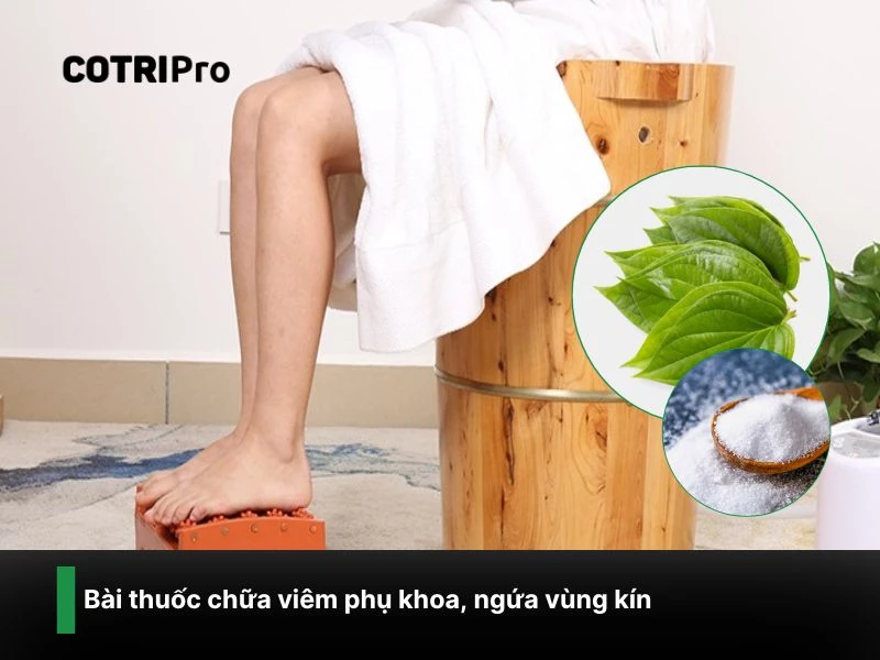 Chữa ngứa vùng kín với lá trầu không