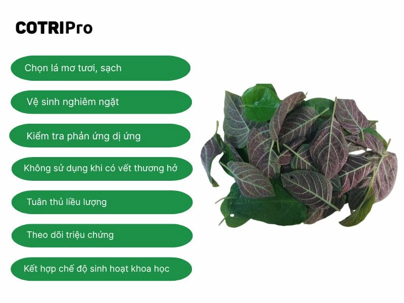 Vệ sinh sạch sẽ lá mơ trước khi dùng