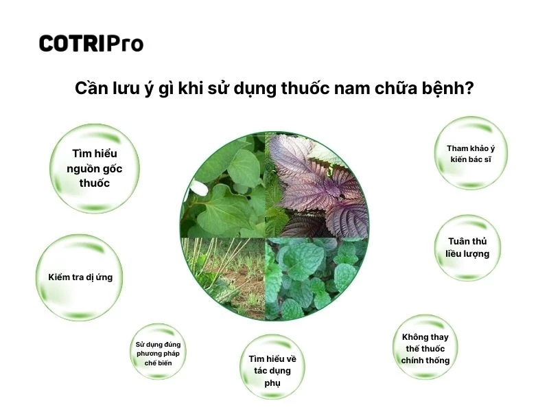 Sử dụng thuốc nam an toàn