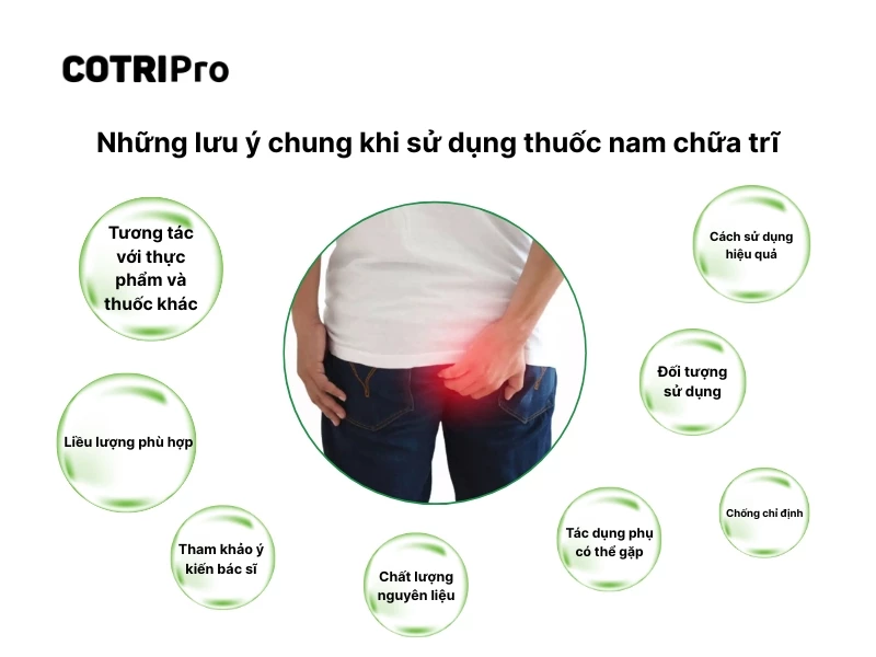 lưu ý khi sử dụng cây thuốc nam trị bệnh trĩ tại nhà