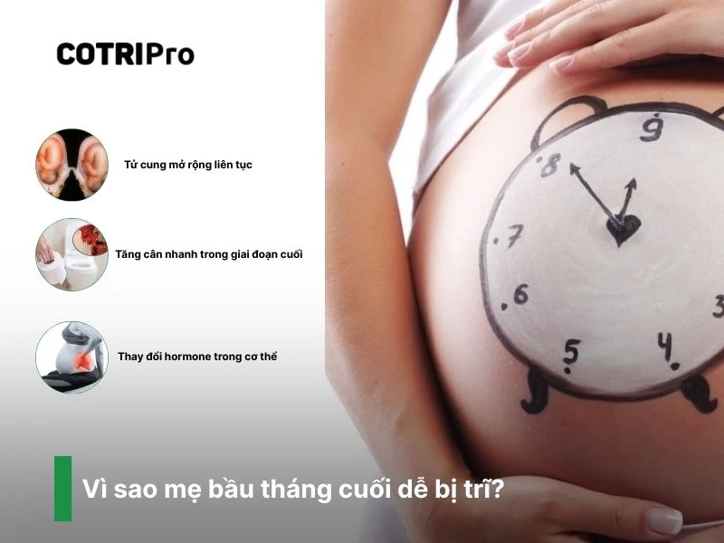 3 lý do mẹ bầu tháng cuối bị trĩ