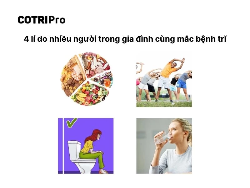 Chế độ ăn uống giống nhau gây trĩ