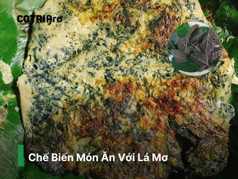 Hỗ trợ ngừa trĩ với thực đơn có lá mơ