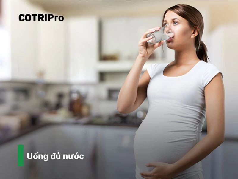 Nước giúp hòa tan chất xơ