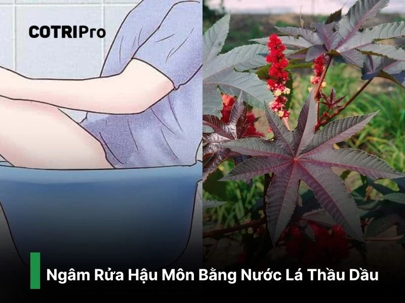 Ngâm rửa hậu môn trị trĩ