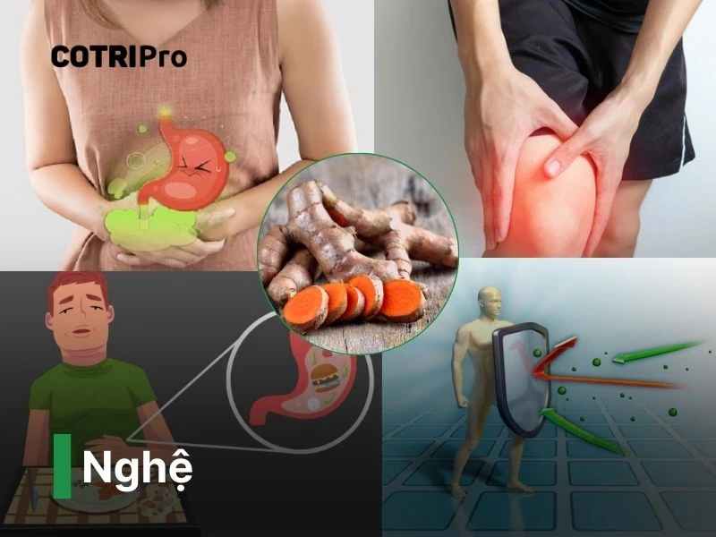 Nghệ thuốc nam chữa bệnh