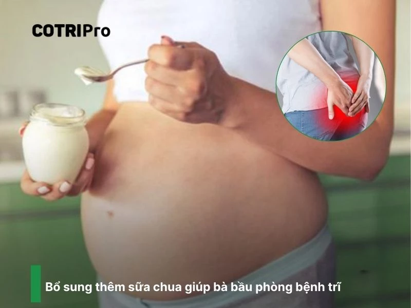 Ăn nhiều sữa chua