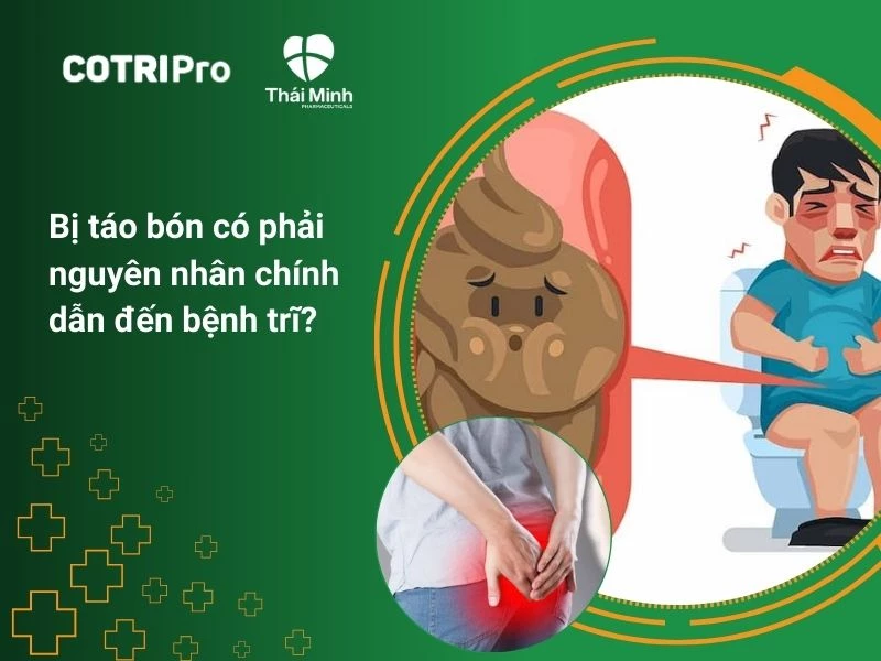 Bị táo bón có phải nguyên nhân chính dẫn đến bệnh trĩ?