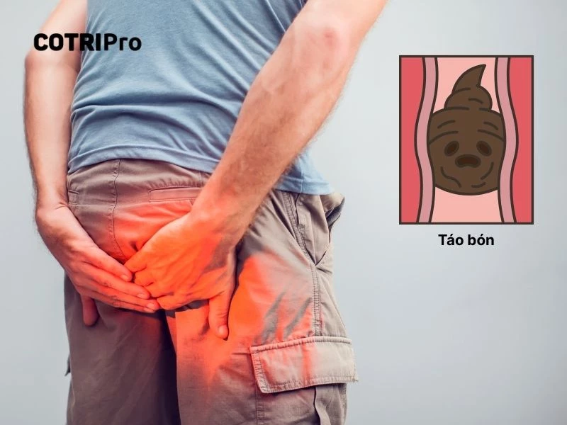 Lý do táo bón gây trĩ