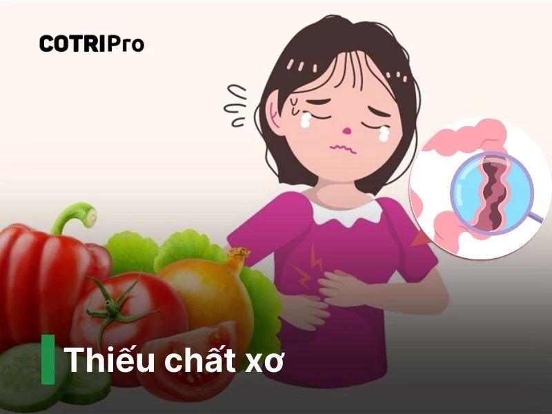 Thói quen thiếu chất xơ