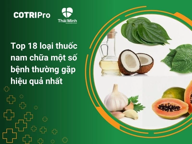 18 loại thuốc nam chữa một số bệnh thường gặp hiệu quả nhất