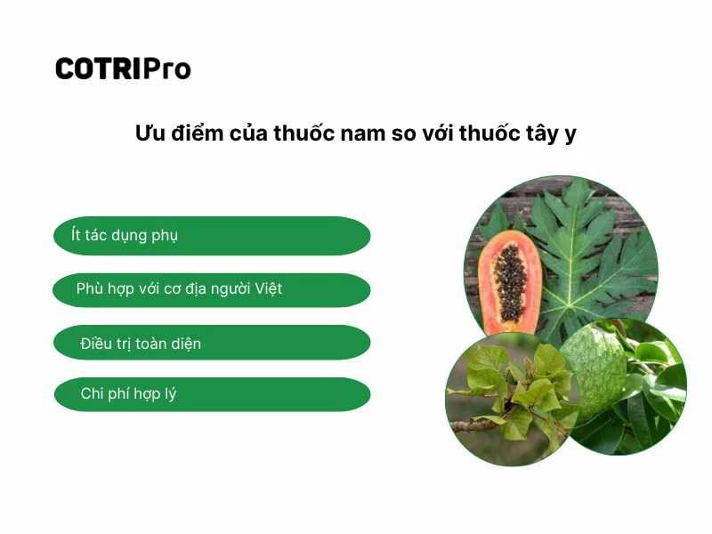 Ưu điểm của thuốc nam