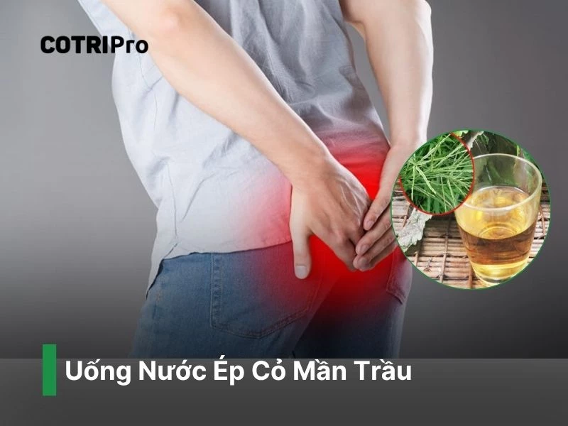 Ngừa bệnh trĩ với nước ép cỏ mần trầu