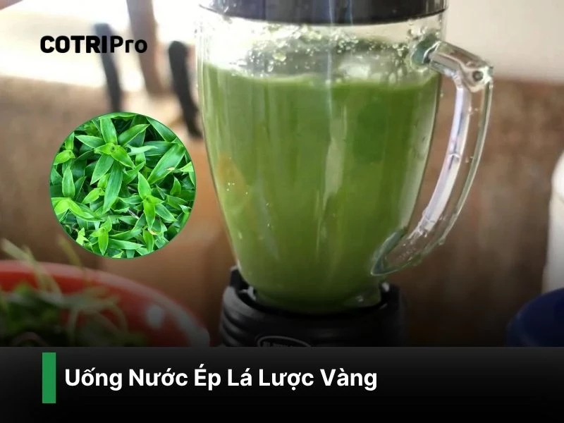 Cải thiện tiêu tiêu với nước ép lá lược vàng
