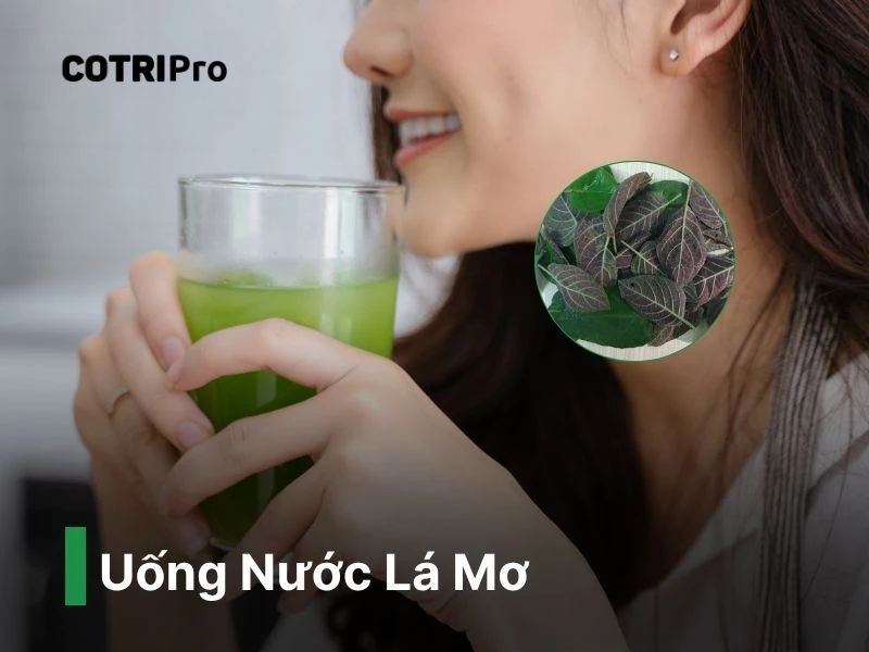 Nước lá mơ làm mềm phân