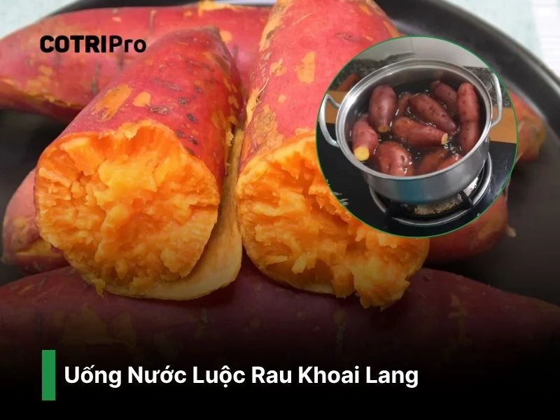 Chữa trĩ với nước luộc rau lang