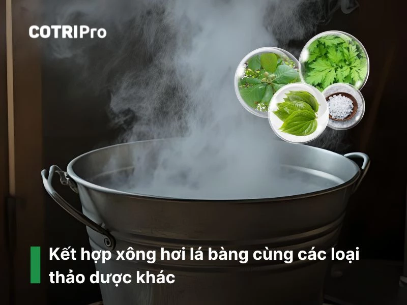 Xông hơi hậu môn cùng với lá bàng và thảo dược khác ngừa trĩ