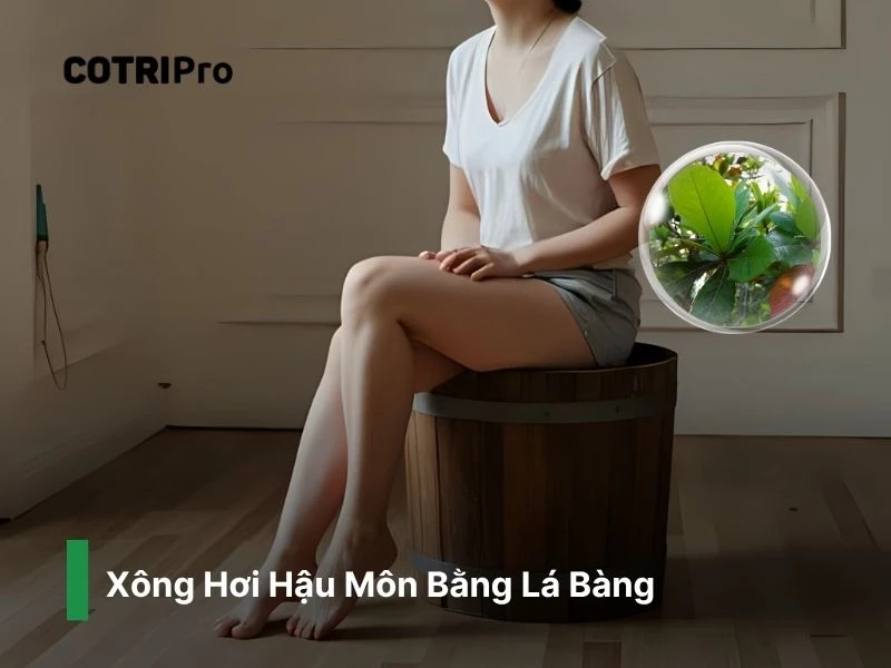 Xông hậu môn với lá bàng ngừa trĩ