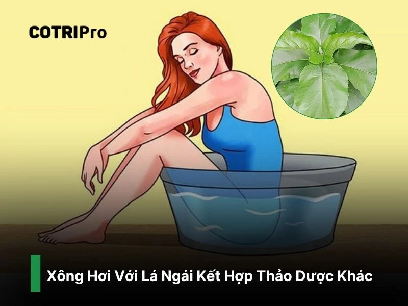 Kết hợp xông lá ngái cùng thảo dược ngừa trĩ
