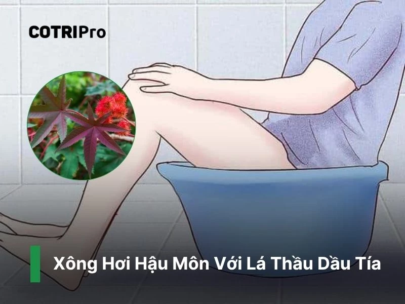 Xông hậu môn với lá thầu dầu