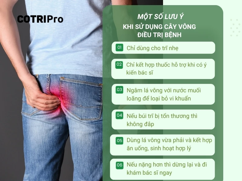 lưu ý khi sử dụng lá vông chữa bệnh trĩ