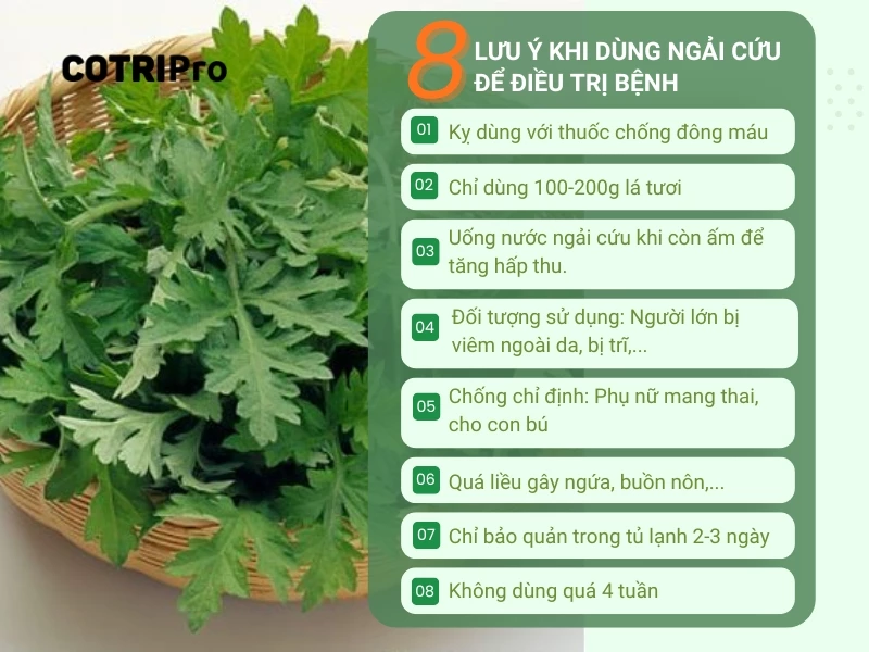 lưu ý khi dùng ngải cứu