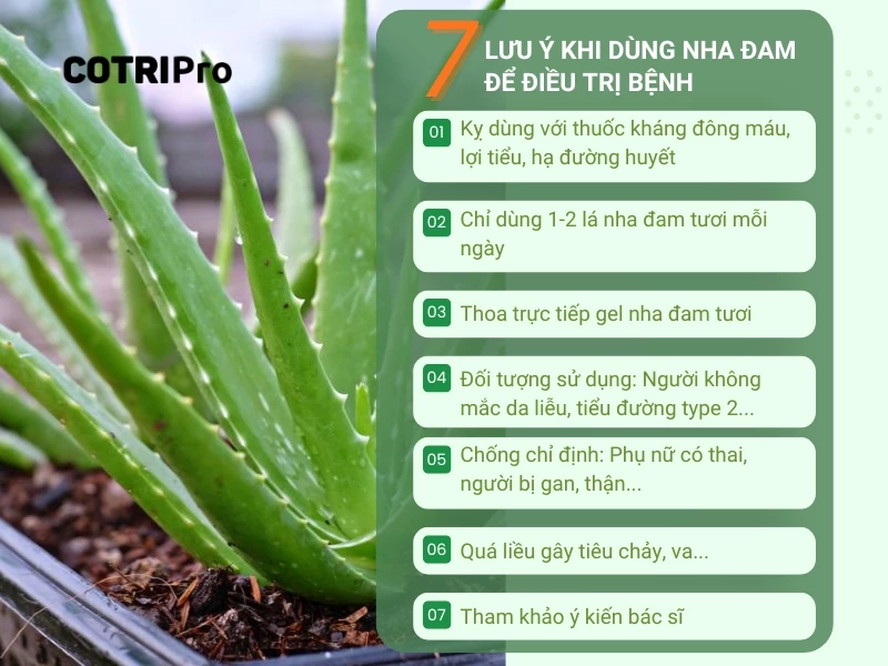 lưu ý khi dùng nha đam