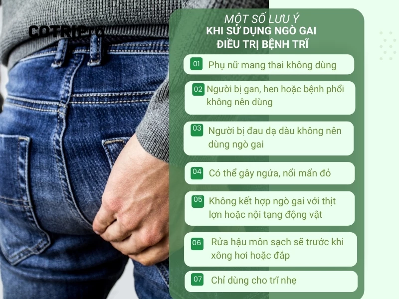 lưu ý khi sử dụng ngò gai điều trị bệnh trĩ