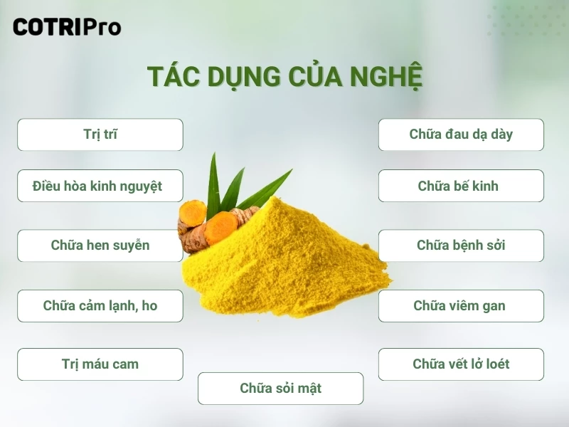 tác dụng nghệ