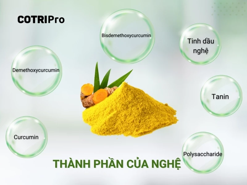 thành phần nghệ